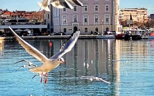 Superior Luxury Apartment Spalato