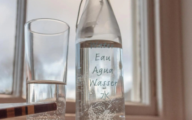 The Downe Arms Hotel