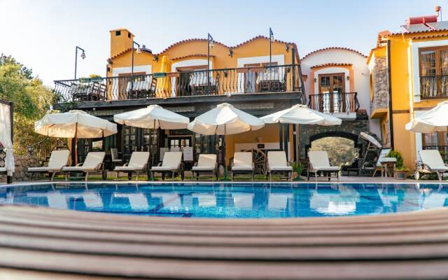 The Olive Tree Studios - Adults Only