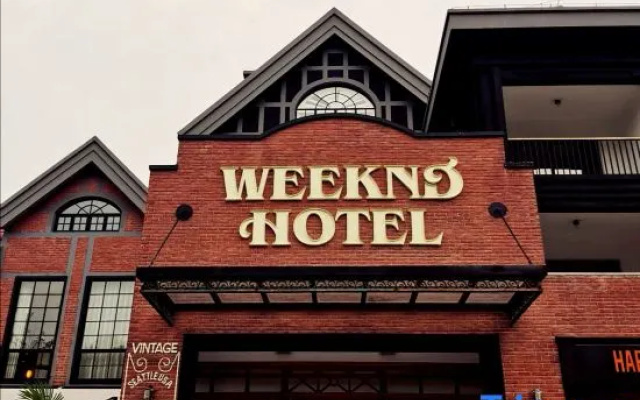 Busy koala Weeknd Hotel