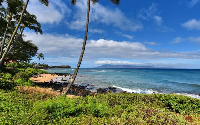 Polynesian Shores 113