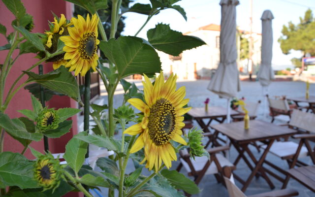 Helianthus Guesthouse