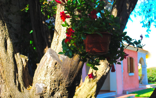 Appartamenti Vecchio Stazzo