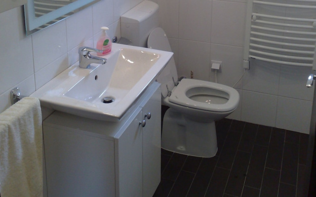 Apartment Nikola M