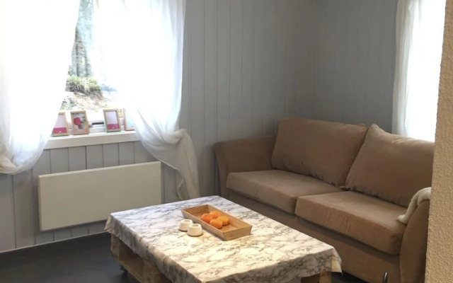 Koselig Hytte i Hemsedal