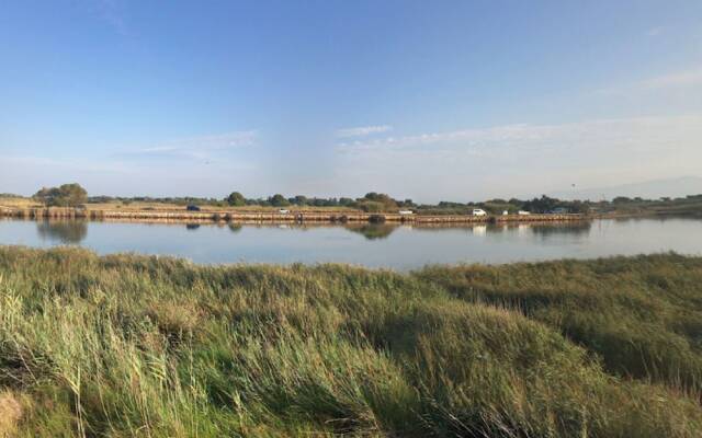 Spacious Holiday Home in Girona With Swimming Pool