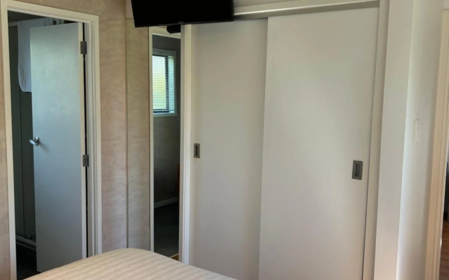 Evolve Bach (Adults Only)