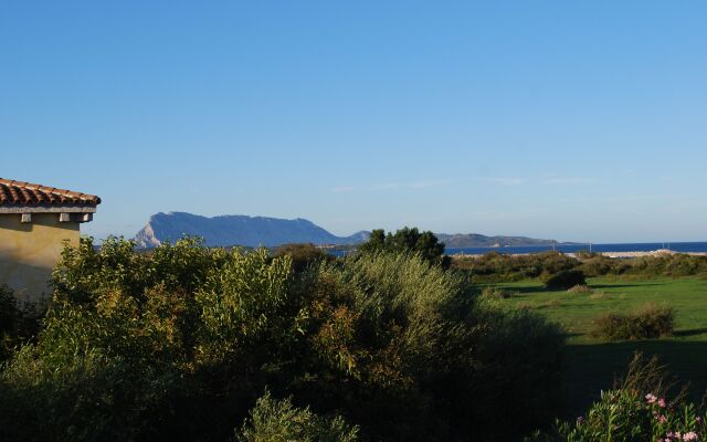 Residence Oasi Blu Apartments