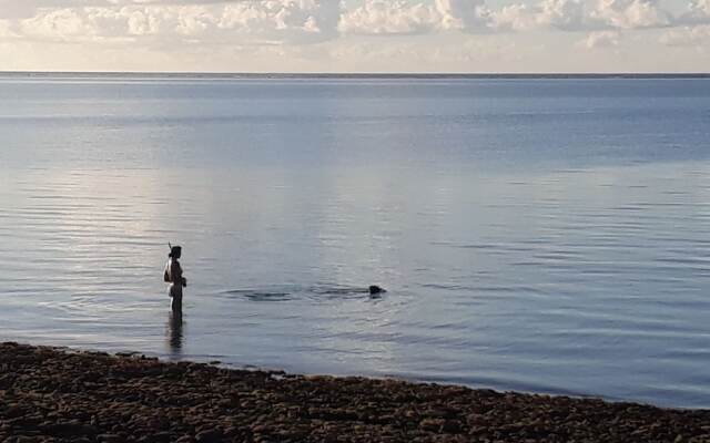 Vaiula Beach Fales