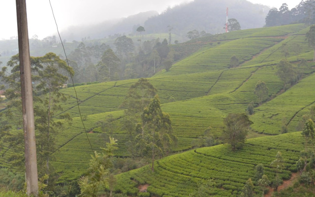 The Edge Luxury Apartment