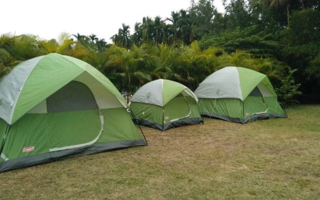 Hoysala Resort