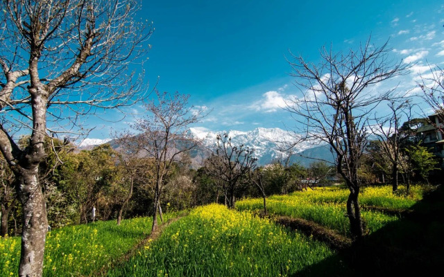 Ketav's Ayush Health Paradise