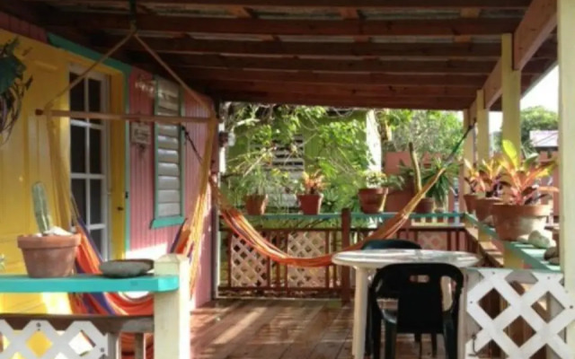 Naniqui Natural & Relax Adult Only