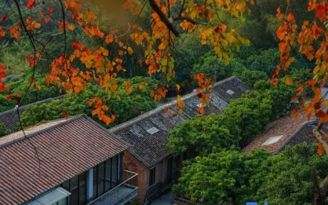 The Jing House