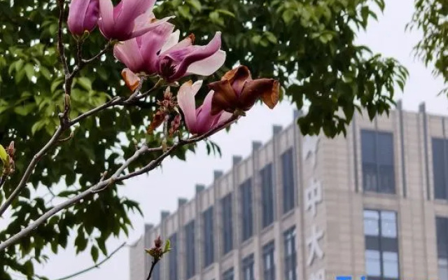Long Hotel Hangzhou — 3-star hotel in Hangzhou