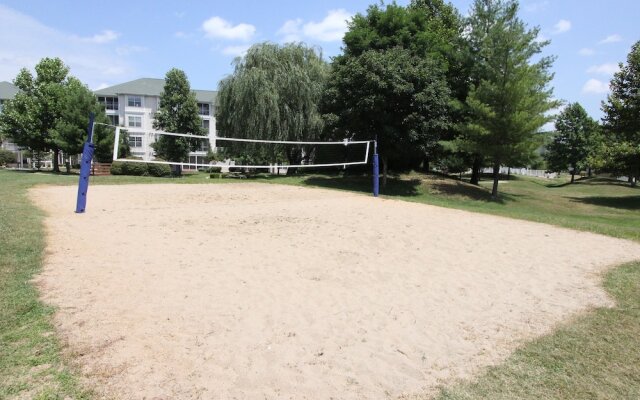 Nature's Harmony by RedAwning