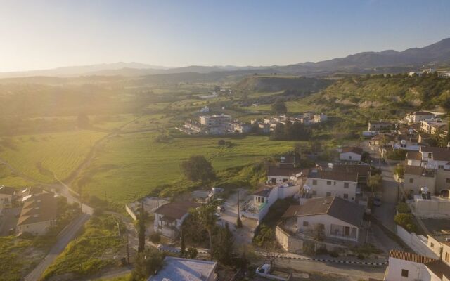 Samareitidos Light Studio - Green