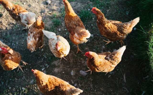 Mesmear Luxury Cottages