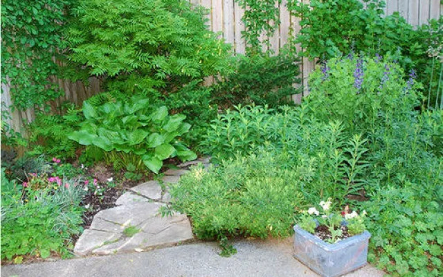 Queen and Albert B&B