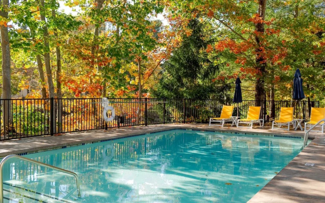 The Lodge at the Cove