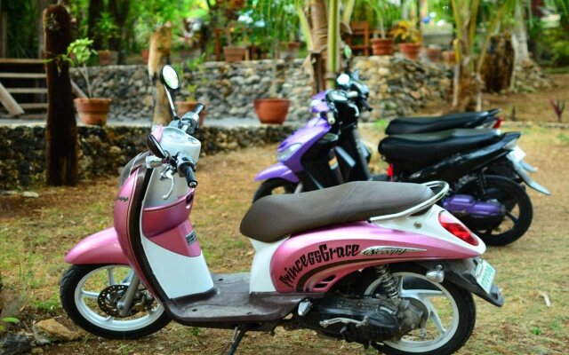 Toris Backpackers Paradise