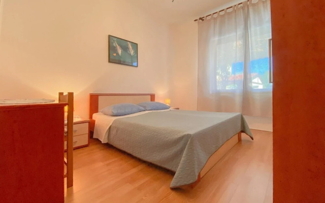 Beco A2 Plus 2 nr 2 in Novigrad
