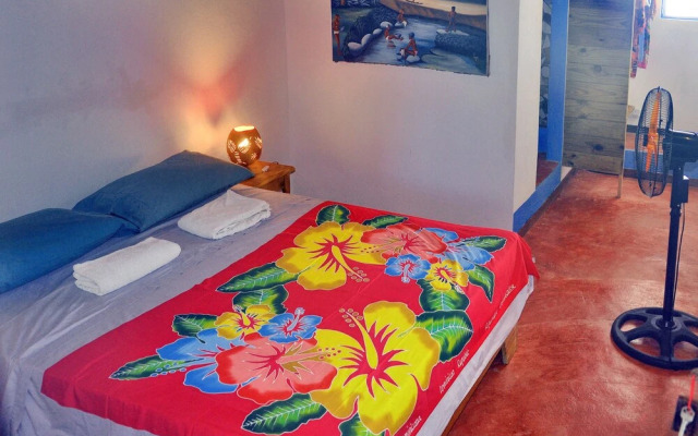 Hostel La Ballena Backpacker