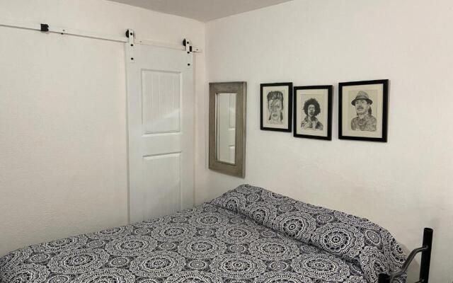 Zebra Studio