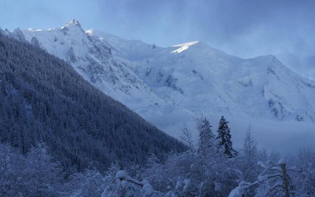 Argentiere - Apartment ideal for ski or summer