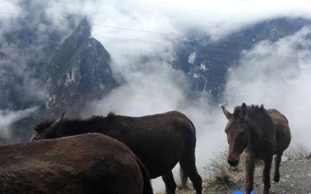 Tiger Leaping Gorge Camp Shangri-La