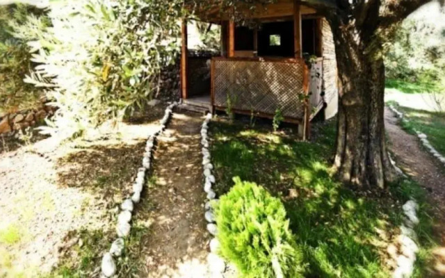 Shambala Lodge Hotel