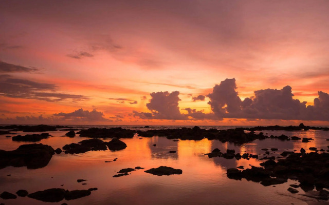 Monkey Dive Hostel Khaolak