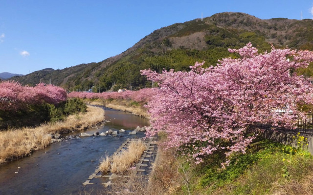 Ito Kowakien