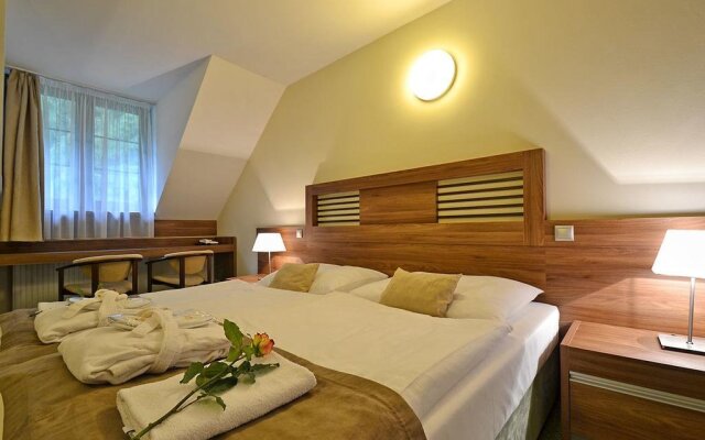 Pod Kycmolem Wellness Hotel