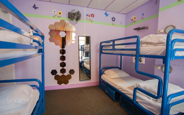 The Flying Pig Uptown Hostel