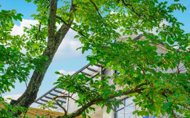 Under Persimmon Trees · Fam&Team Retreat·Pool·Pet Stay (Tonglu OMG Park Branch)