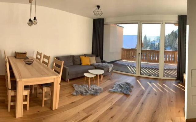 Apartman Hechlstein v Tauplitz