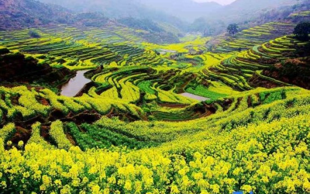 Muxue Yiju 270° Panoramic Mountain View Resort (Hangling Scenic Area Branch) – Outside – Shangrao