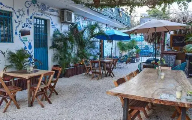 La Gran Mosca Verde Hostel