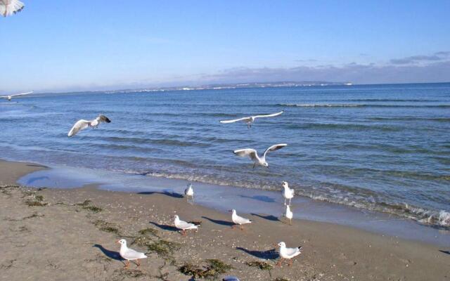 Ferienhaus Wiek RUeG 2161