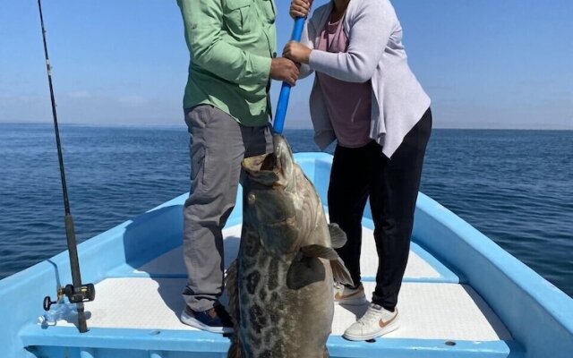 Villas Capitan Petter