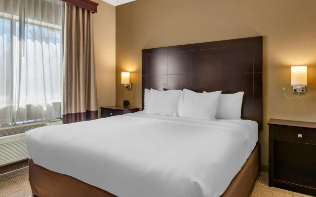 Comfort Inn And Suites Paw Paw