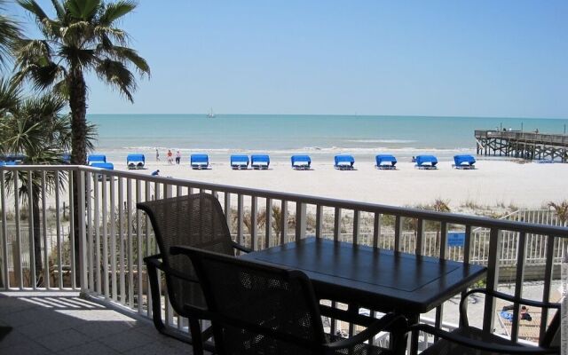 Beach Palms 109