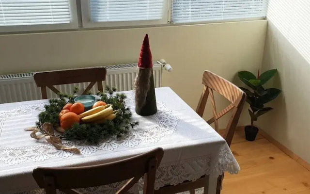 Sunny and Charming Domain for Your Stay in Sofia