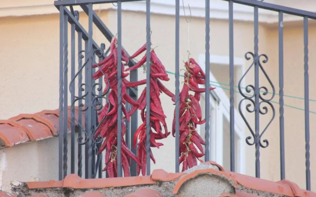 Acogedor apartamento VALLE DEL JERTE