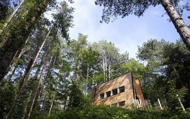 Bains de Forêt - Lodge Cosy & Spa