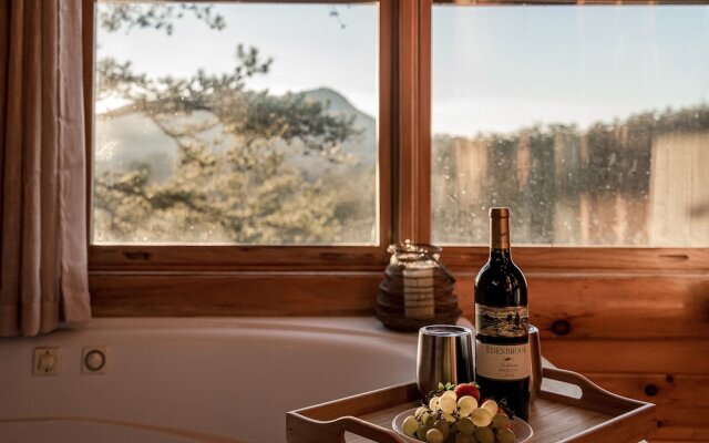 Bear Vista Retreat w HotTub Pool View