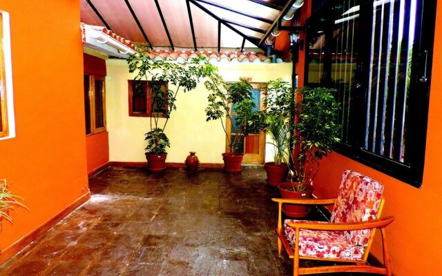 Kintu Classic Cusco