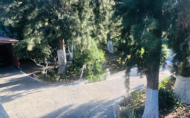 ΝΙRΑSΤΕRΟ - The house in the trees