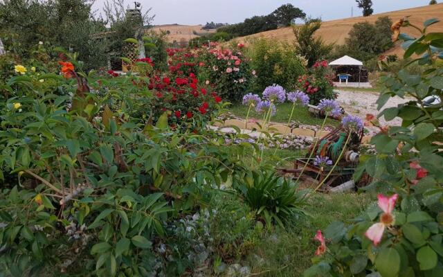 Agriturismo la Stradaccia